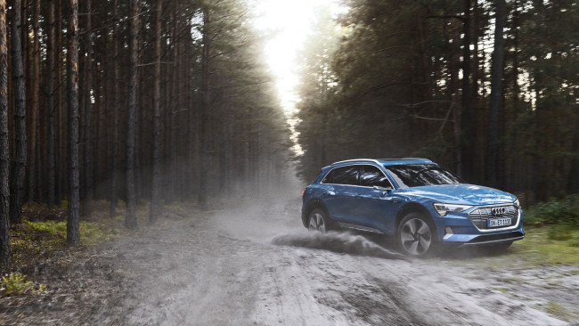 Обои картинки фото 2020 audi e-tron, автомобили, audi, синий, кроссовер, 2020, e-tron, лес, ауди