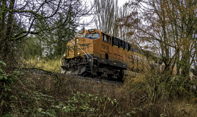 Обои картинки фото техника, поезда, состав, локомотив