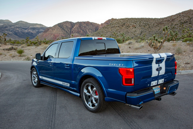 Обои картинки фото автомобили, ford, shelby