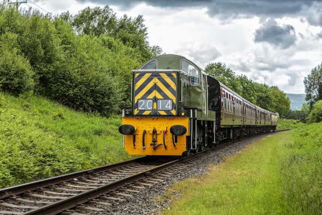 Обои картинки фото техника, поезда, локомотив, состав