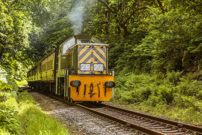 Обои картинки фото техника, поезда, локомотив, состав