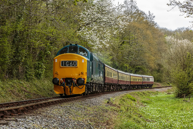 Обои картинки фото техника, поезда, состав, локомотив