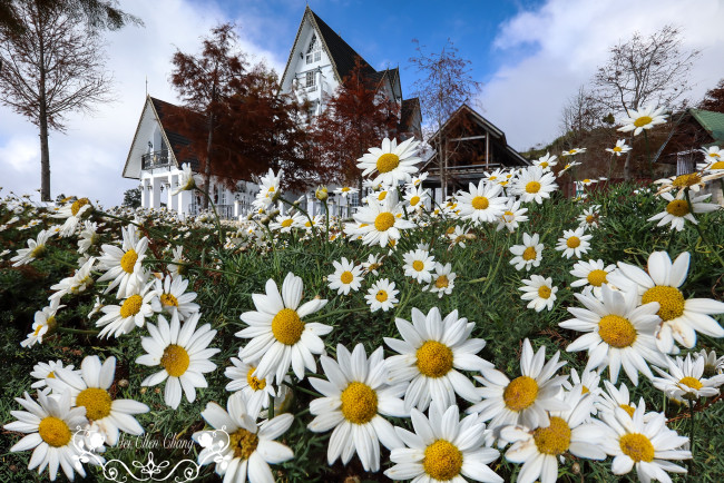 Обои картинки фото города, - здания,  дома, дом