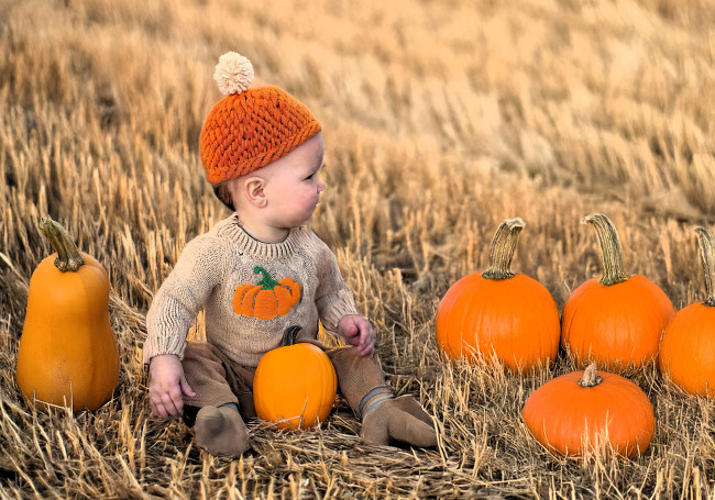 Обои картинки фото разное, дети, ребенок, шапка, свитер, тыквы, поле