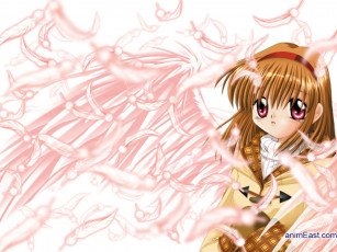 Картинка аниме kanon