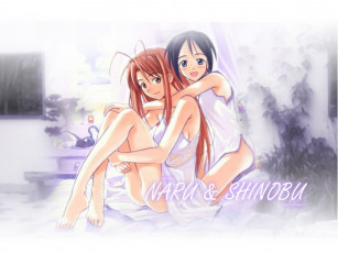 Картинка аниме love hina