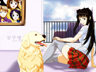 Картинка аниме love hina