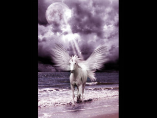 Картинка фэнтези пегасы