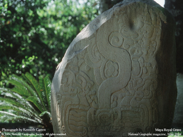 Обои картинки фото разное