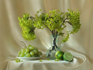 Картинка harumi saito весна еда натюрморт