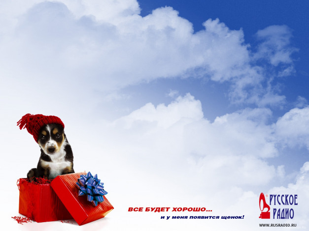 Обои картинки фото бренды, русское, радио