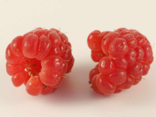 Обои картинки фото еда, малина