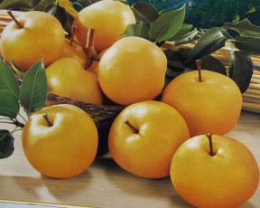 Картинка еда Яблоки