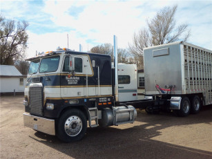 Картинка автомобили freightliner