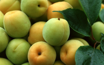 Картинка еда персики сливы абрикосы