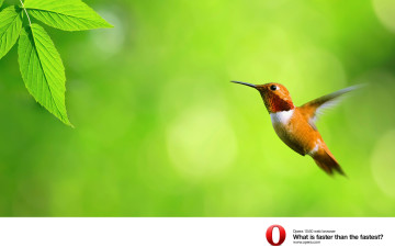 обоя компьютеры, opera