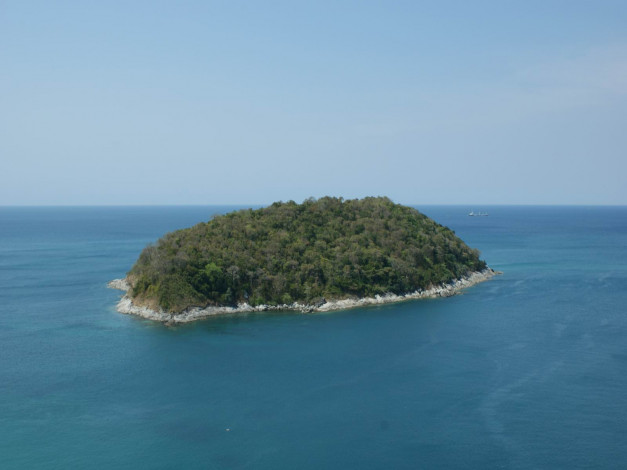 Обои картинки фото 