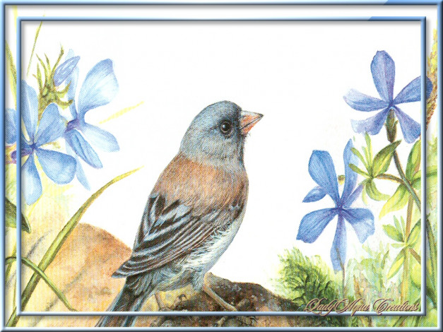 Обои картинки фото рисованные, животные