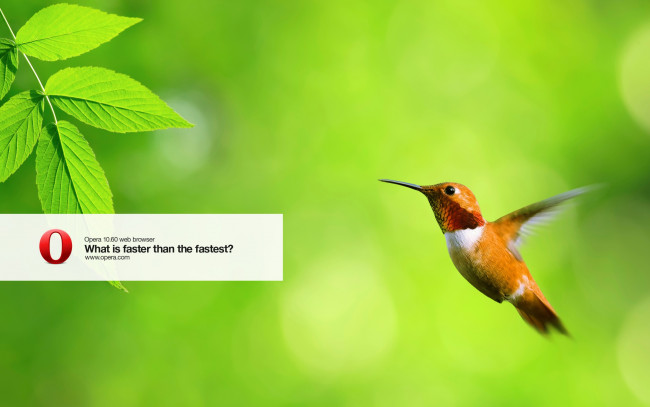 Обои картинки фото компьютеры, opera