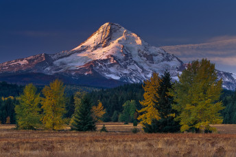 Картинка природа горы пейзаж деревья