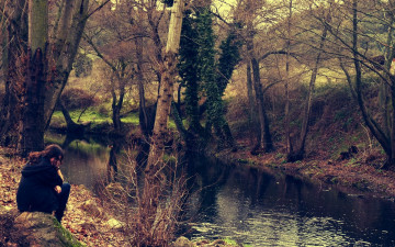 Картинка природа реки озера лес