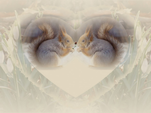 Обои картинки фото разное, компьютерный, дизайн, подснежники, белочки