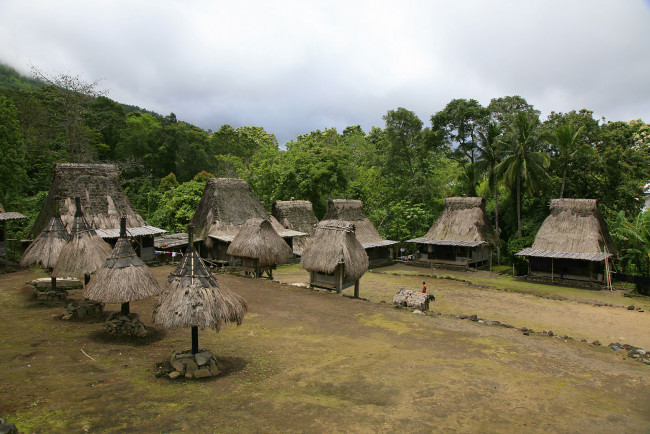 Обои картинки фото природа, тропики, хижины, пальмы