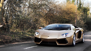 Картинка lamborghini aventador автомобили скорость мощь изящество стиль автомобиль