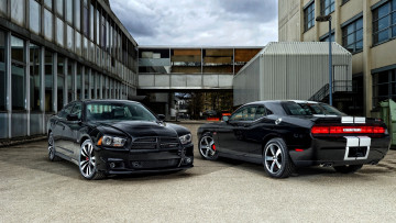 обоя вodge, mixed, автомобили, dodge, мощь, скорость, изящество, автомобиль, стиль