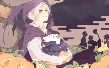 Картинка аниме natsume yuujinchou madara takashi парень глаза волосы