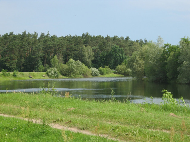 Обои картинки фото природа, реки, озера, луг, река