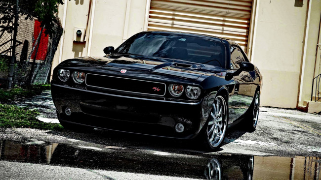 Обои картинки фото dodge, challenger, автомобили, автомобиль, стиль, изящество, мощь, скорость