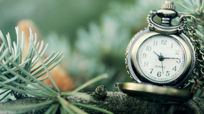 Обои картинки фото разное, Часы, часовые, механизмы, часы