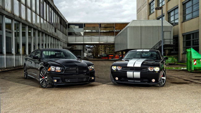 Обои картинки фото вodge, mixed, автомобили, dodge, мощь, изящество, скорость, автомобиль, стиль