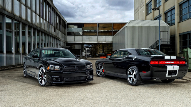 Обои картинки фото вodge, mixed, автомобили, dodge, мощь, скорость, изящество, автомобиль, стиль