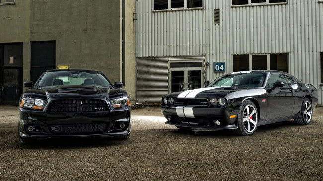 Обои картинки фото вodge, mixed, автомобили, dodge, стиль, автомобиль, мощь, изящество, скорость