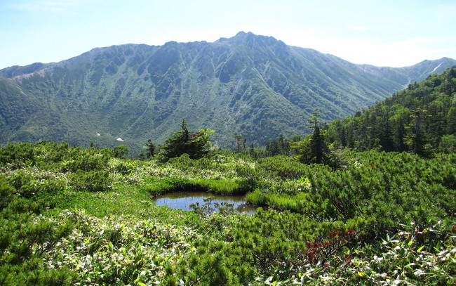 Обои картинки фото природа, горы, зелень