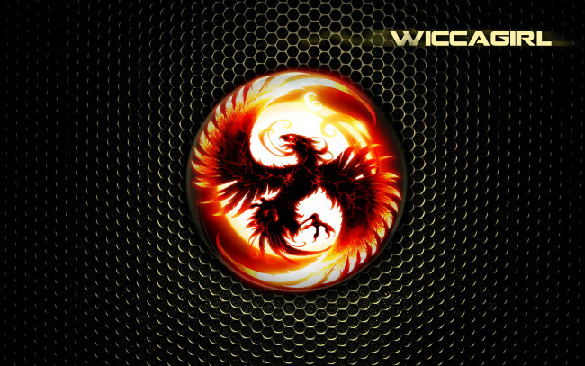 Обои картинки фото видео, игры, ~~~другое~~~, птица