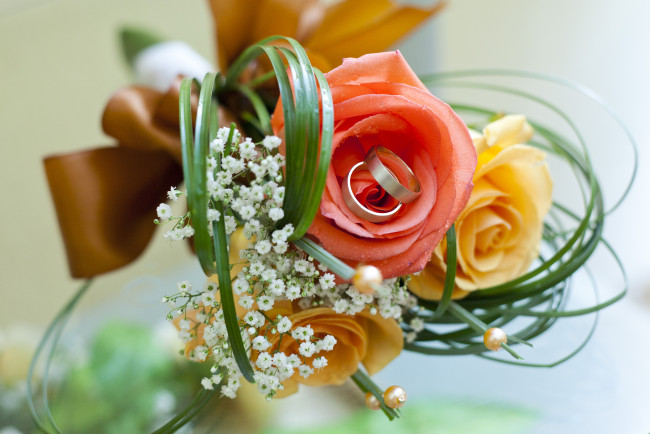 Обои картинки фото кольца, разное, украшения, аксессуары, веера