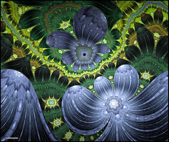 Обои картинки фото 3д, графика, fractal, фракталы, фон, цвета, узор