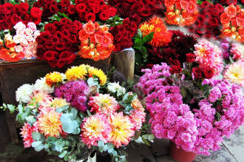 Картинка цветы букеты +композиции розы букет георгины хризантемы