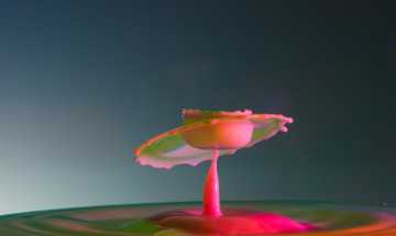 Картинка разное капли +брызги +всплески брызги цвет краски жидкость всплеск