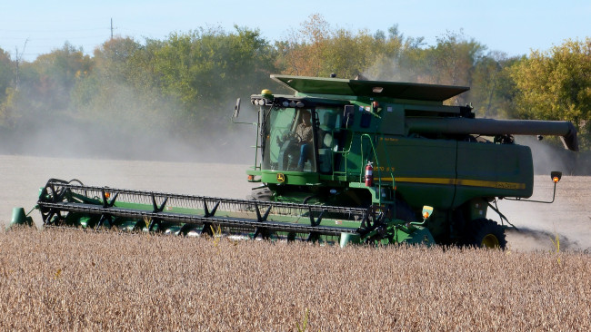Обои картинки фото техника, комбайны, комбайн, поле