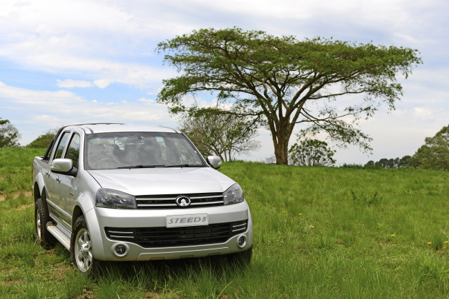 Обои картинки фото автомобили, great wall, 5e, steed, gwm, светлый, 2014г, cab, double