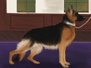 Картинка рисованное животные +собаки фон взгляд собака