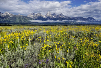 Картинка природа луга равнина горы