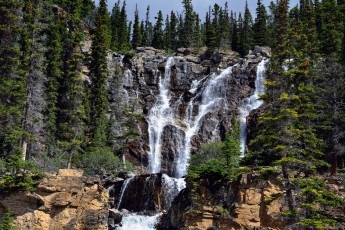 Картинка природа водопады река водопад лес