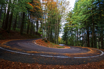 Картинка природа дороги шоссе лес осень