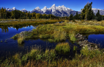 Картинка природа реки озера горы лес река