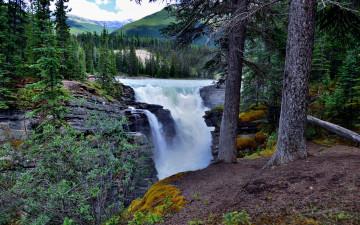 Картинка природа водопады река лес водопад